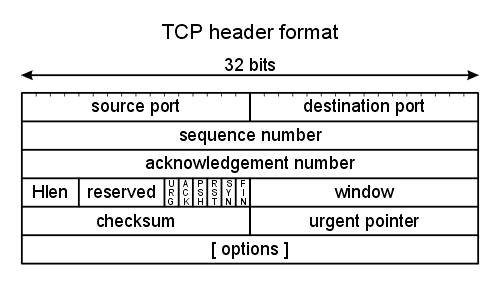 TCP header format